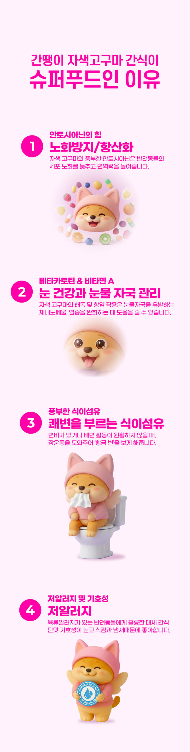 간땡이 자색고구마 간식 노화방지 눈건강 쾌변 저알러지