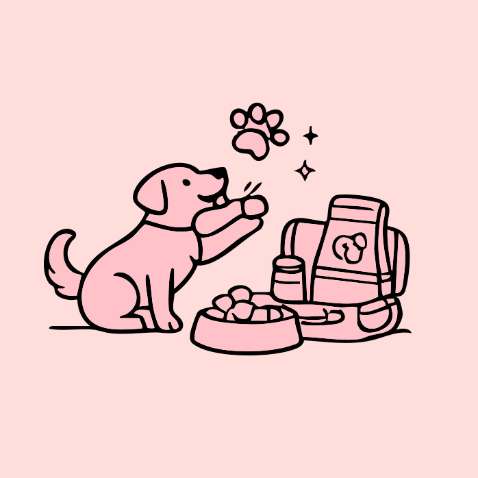 주말 산책 가방 필수템! 가루 뭉친 간식 말고 ‘결이 살아있는 진짜 닭고기’ 챙기셨나요? 🍗