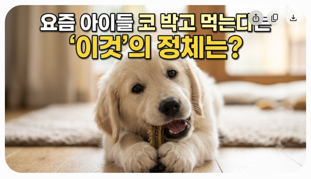 강아지-동결건조-간식-추천-간땡이